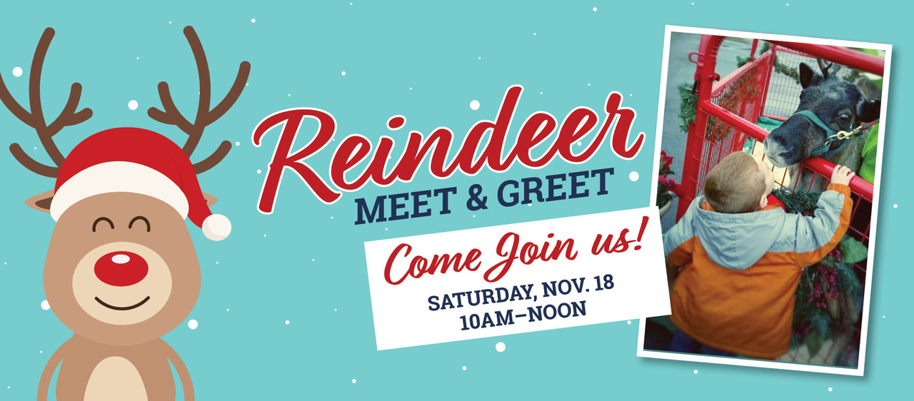 Reindeer Meet & Greet