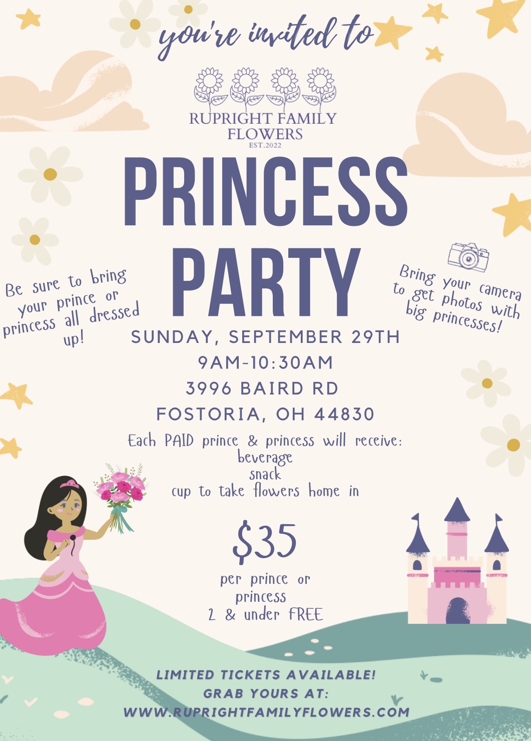 Princess Party at The Field