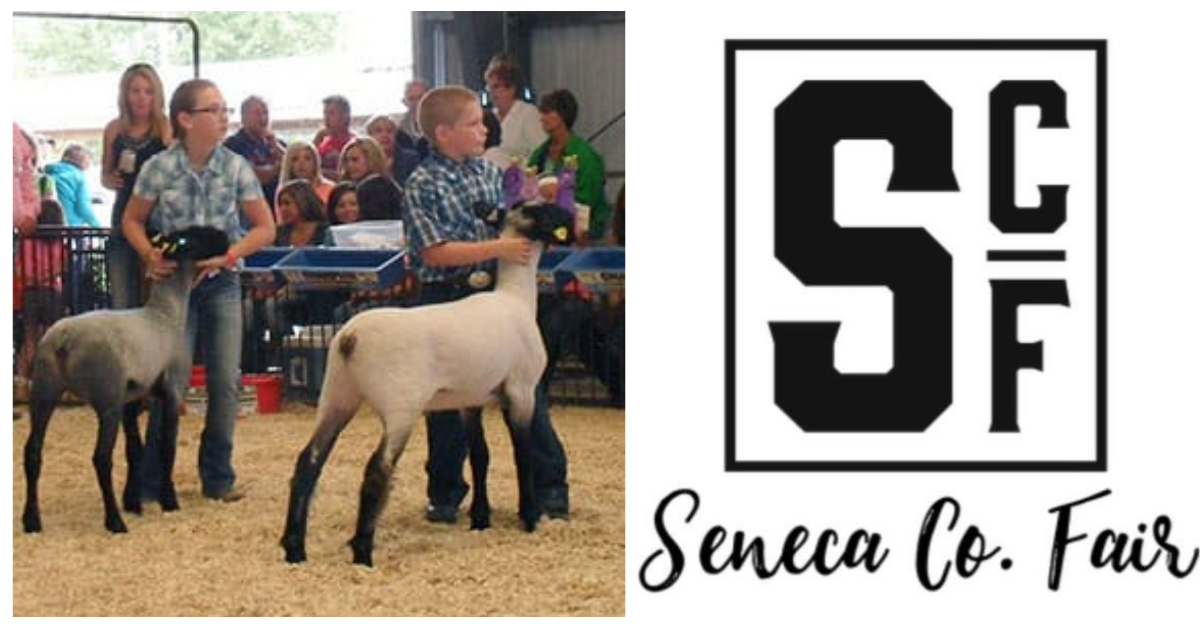 There's No Place Like the Seneca County Fair Seneca Regional Chamber