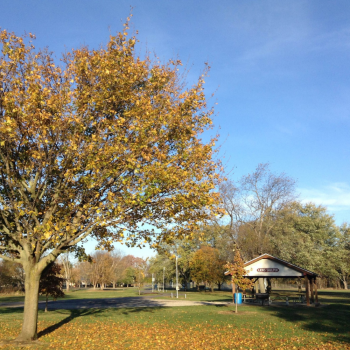 Hedges-Boyer Park