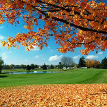 image of golf course