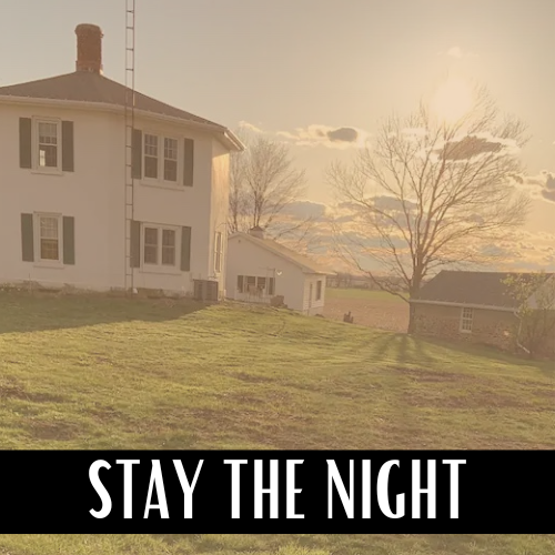 stay the night image