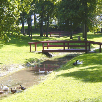 Meadowbrook Park - bridge over creek